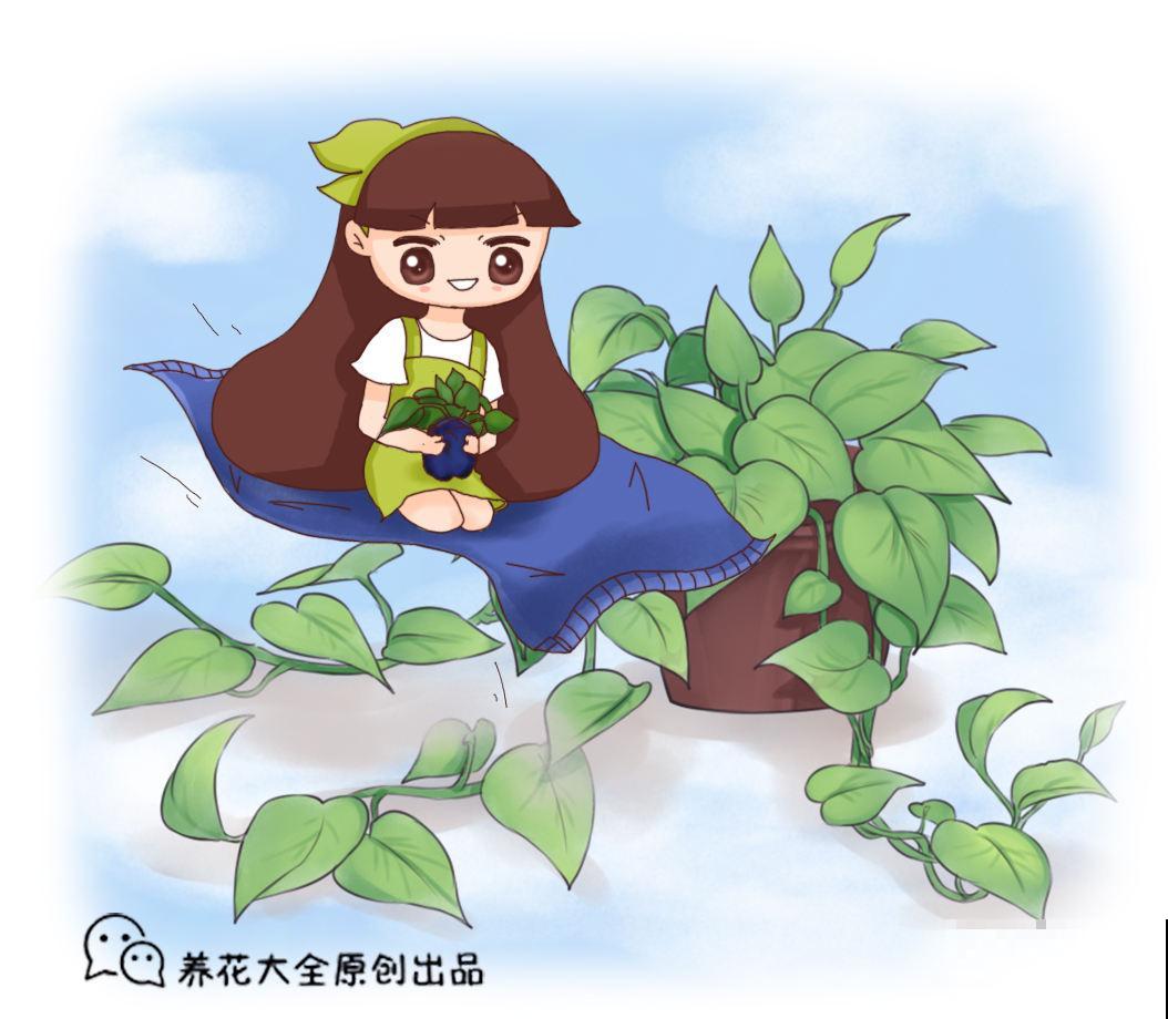 养花形成的8个习惯，听说超级准，你中了几条？