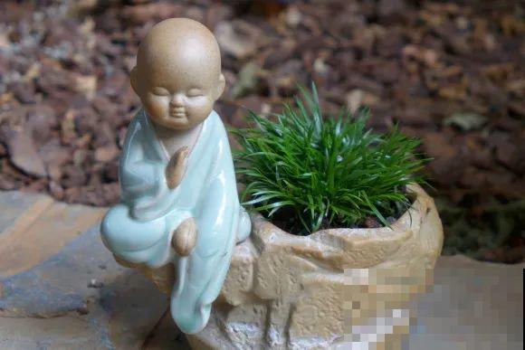 秋天的院子,养点喜欢的花,乐得自在 秋天的院子,养点喜欢的花,乐得自在