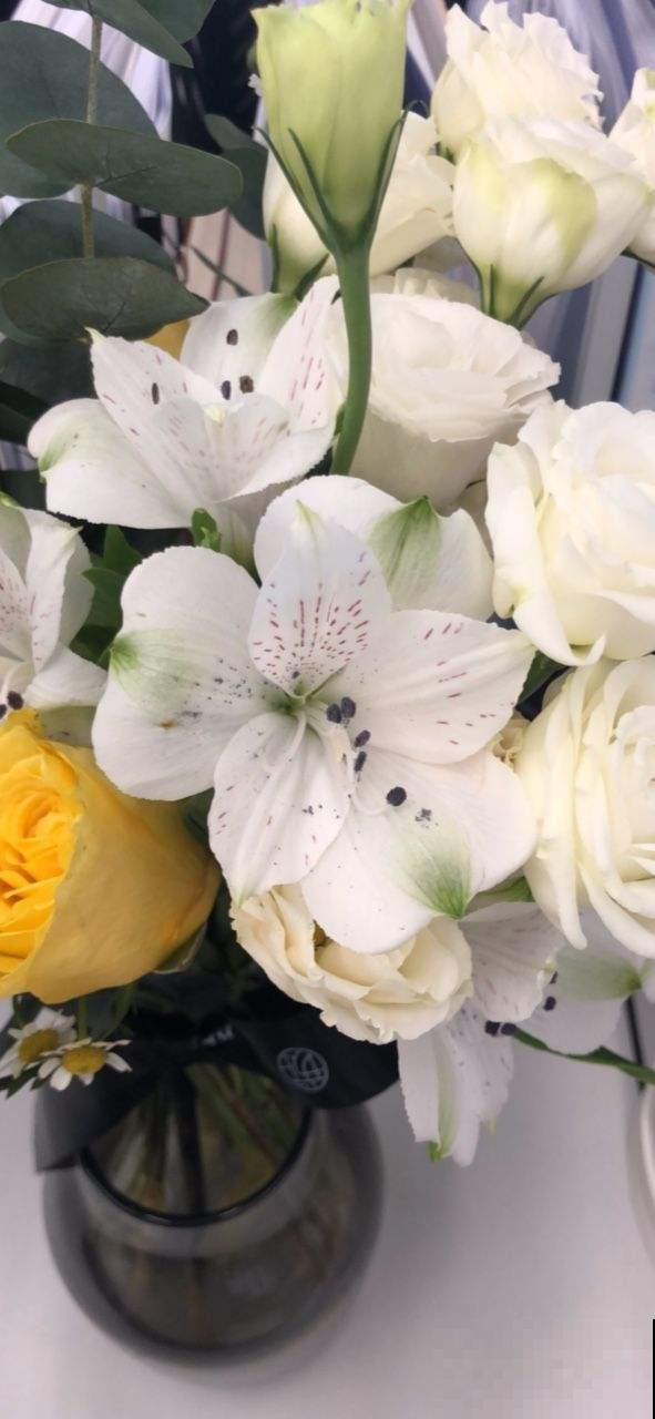 花友新宠六出花,鲜艳俏丽,开满盆特喜庆! 花友新宠六出花,鲜艳俏丽,开满盆特喜庆!