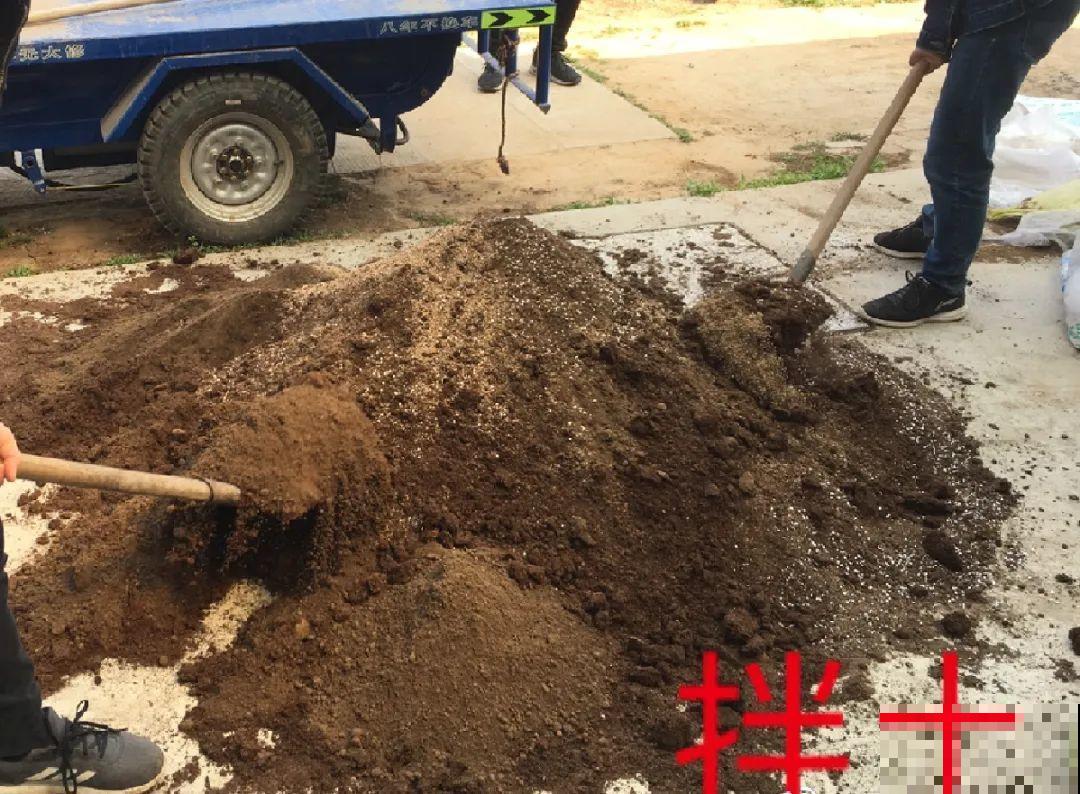 路边不起眼的是宝贝,捡到养花就是宝,养花多年不换盆! 路边不起眼的是宝贝,捡到养花就是宝,养花多年不换盆!