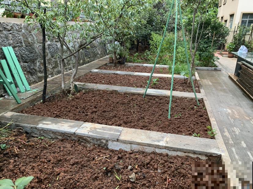 阳台种菜要规划好,才能看起来干净整洁,光用泡沫箱不行 阳台种菜要规划好,才能看起来干净整洁,光用泡沫箱不行