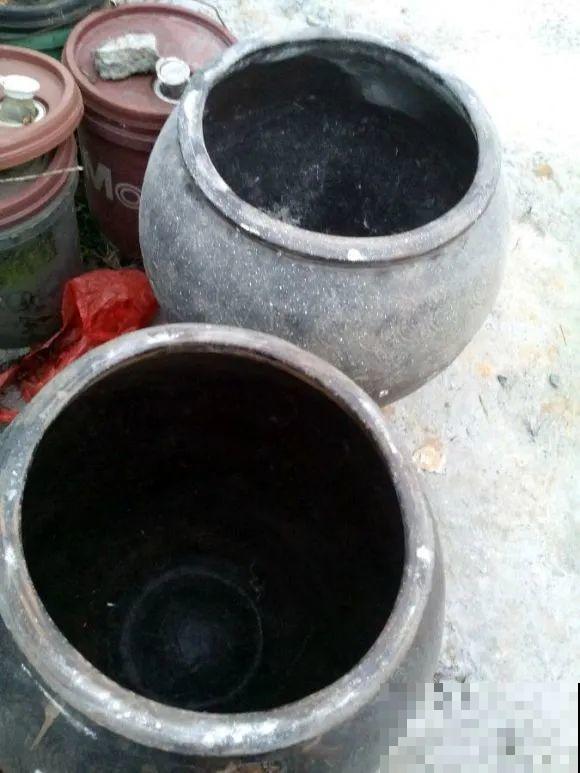 捡了3个大水缸，种上这几种花，放门口太霸气了！