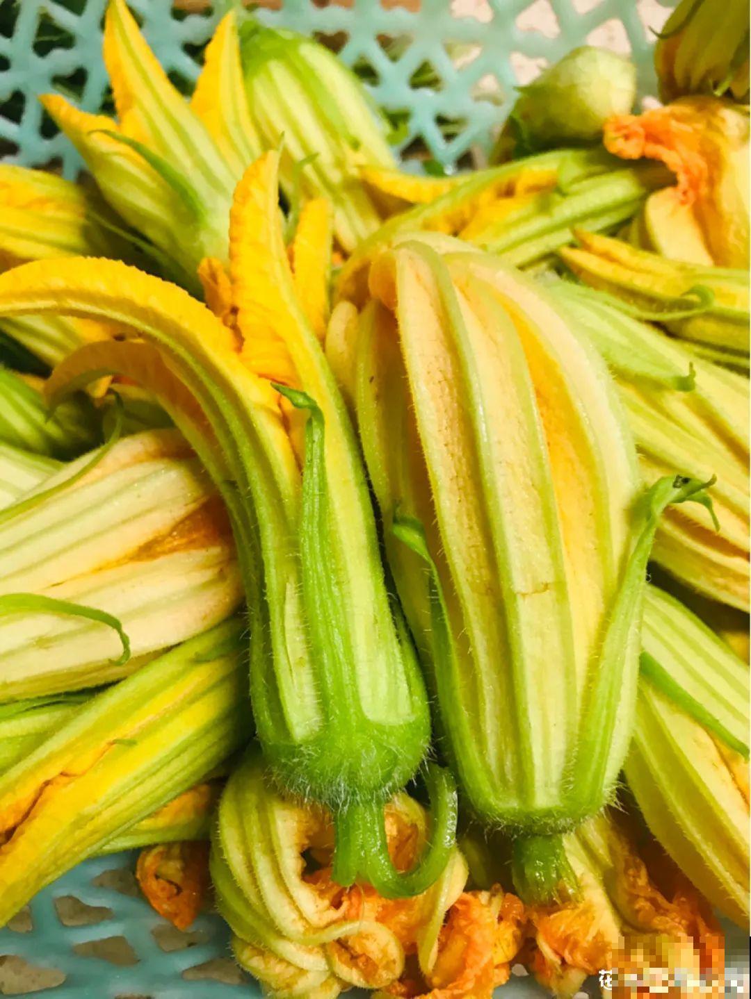 农村养出的“宝藏”花,精致可爱,一点也不土气! 农村养出的“宝藏”花,精致可爱,一点也不土气!