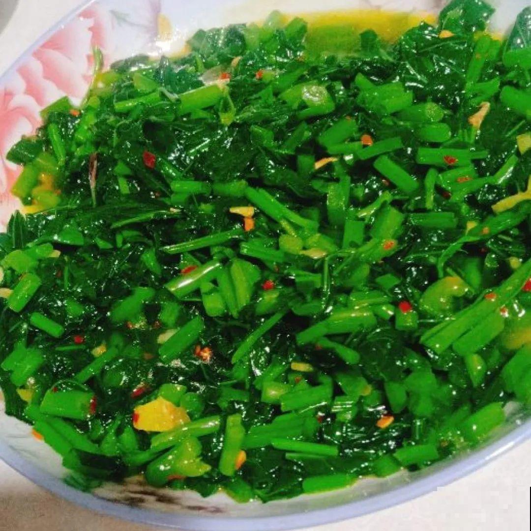 玉米地瓜，放久了自动变成盆栽，太好活了吧？