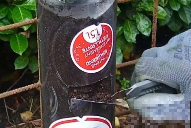 旧筷子、老干妈瓶，都是养花宝贝，做盆浇水都能用！