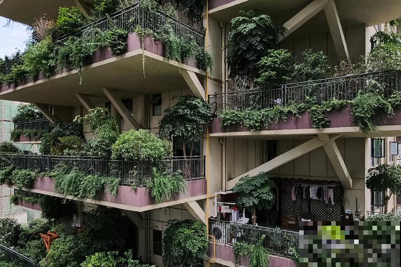被绿植包围的森林小区,家家阳台满是植物,这样的小区你想住吗? 被绿植包围的森林小区,家家阳台满是植物,这样的小区你想住吗?