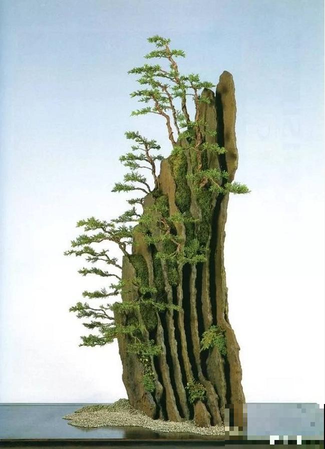 惊艳的6大盆景造型,中国植物艺术的巅峰,收藏起来! 惊艳的6大盆景造型,中国植物艺术的巅峰,收藏起来!