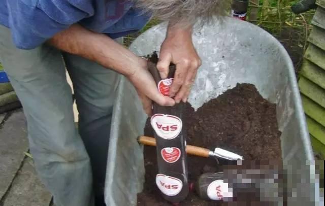 旧筷子、老干妈瓶，都是养花宝贝，做盆浇水都能用！