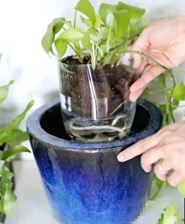 出门前，DIY个浇水神器，花就不会渴死了！