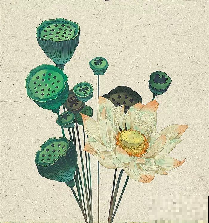 养花人都有个田园梦:一处小院,繁花盛开! 养花人都有个田园梦:一处小院,繁花盛开!