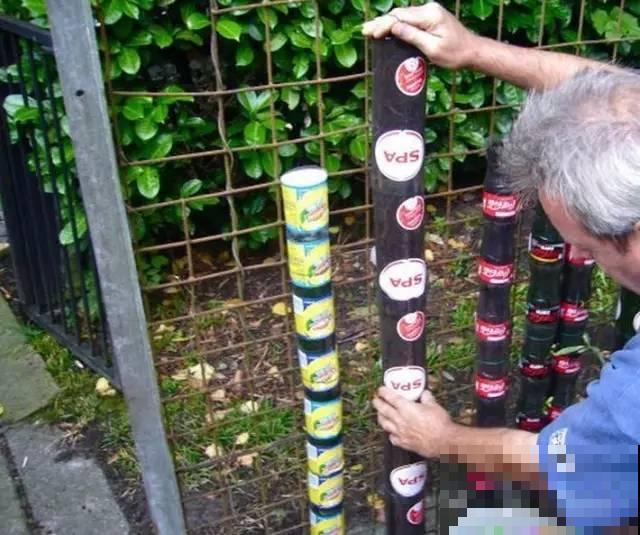 旧筷子、老干妈瓶，都是养花宝贝，做盆浇水都能用！