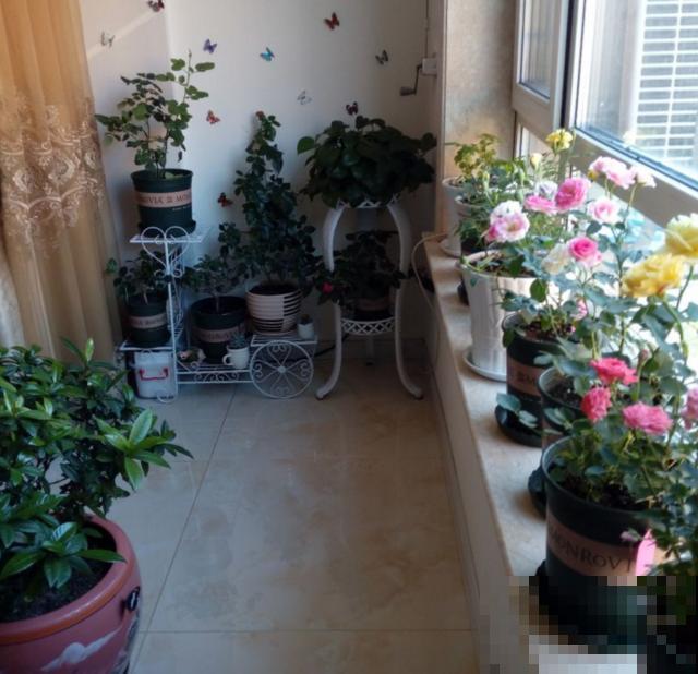 白桃妖精放卧室，美观又清新，还能助眠！