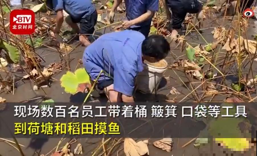 重庆一家企业,楼顶用来种菜养花,佩服! 重庆一家企业,楼顶用来种菜养花,佩服!