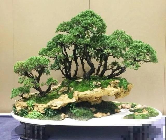 惊艳的6大盆景造型,中国植物艺术的巅峰,收藏起来! 惊艳的6大盆景造型,中国植物艺术的巅峰,收藏起来!