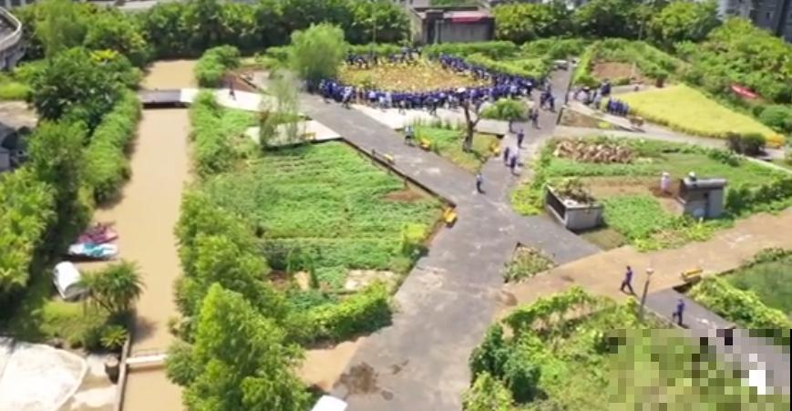 重庆一家企业,楼顶用来种菜养花,佩服! 重庆一家企业,楼顶用来种菜养花,佩服!