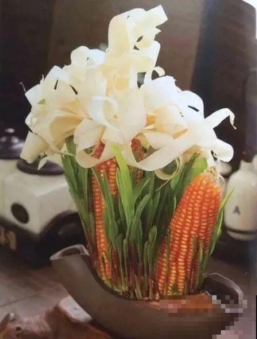 西红柿、玉米……埋土里，7天长成小森林，结出果子一大筐！