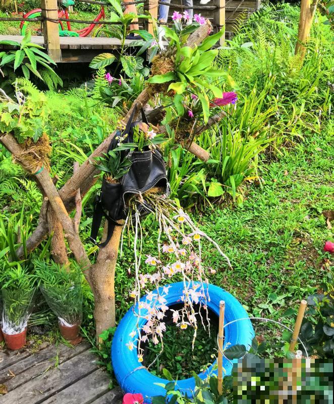 还敢说你的花园有创意?看看这些脑洞设计,一般人做不来! 还敢说你的花园有创意?看看这些脑洞设计,一般人做不来!