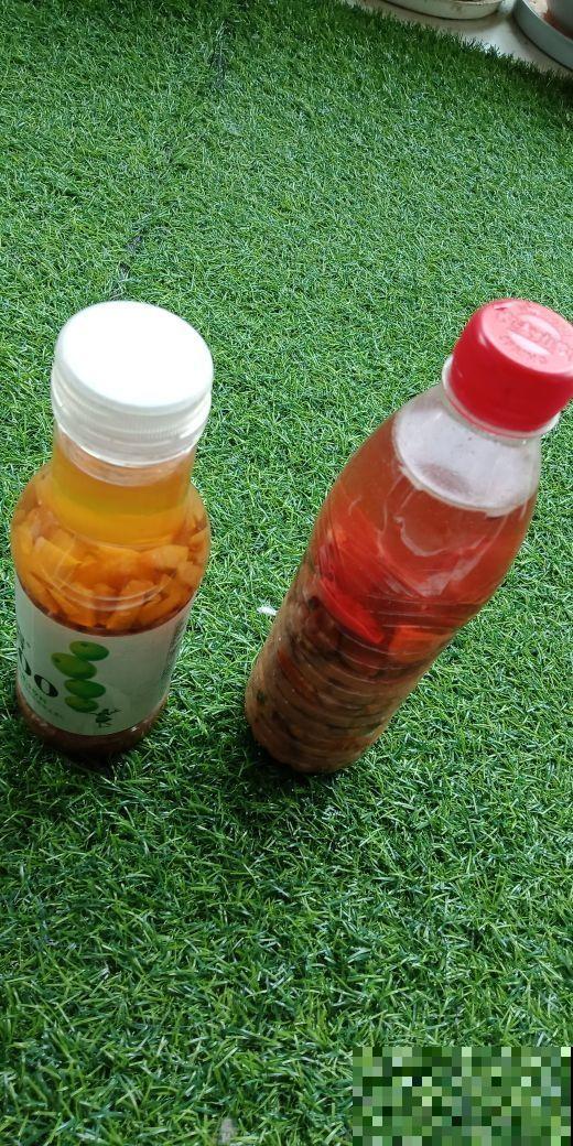 给花吃点榴莲壳，叶子长得飞快，10年不烂根