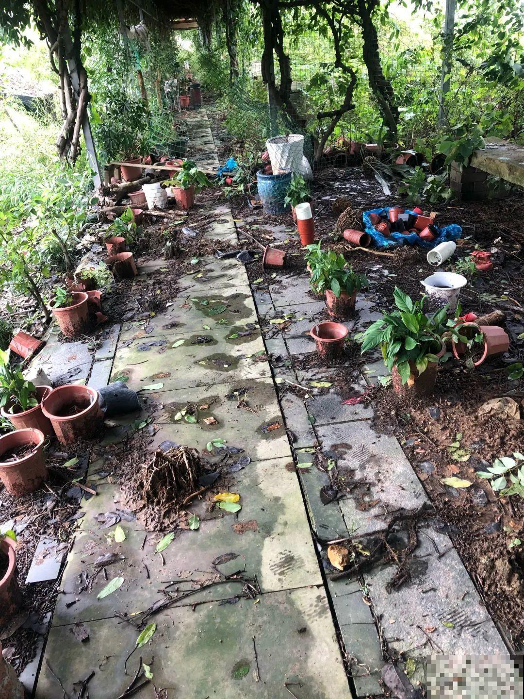 花堆成山,捡到手软,大麻袋都装不下了! 花堆成山,捡到手软,大麻袋都装不下了!