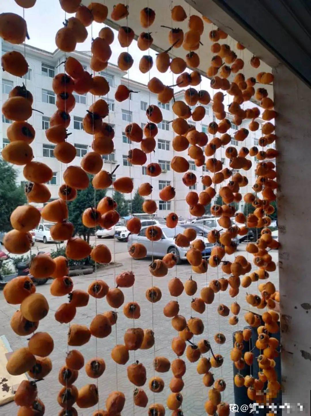 院子里种棵守家果树,镇宅风水好,旺人旺家 院子里种棵守家果树,镇宅风水好,旺人旺家