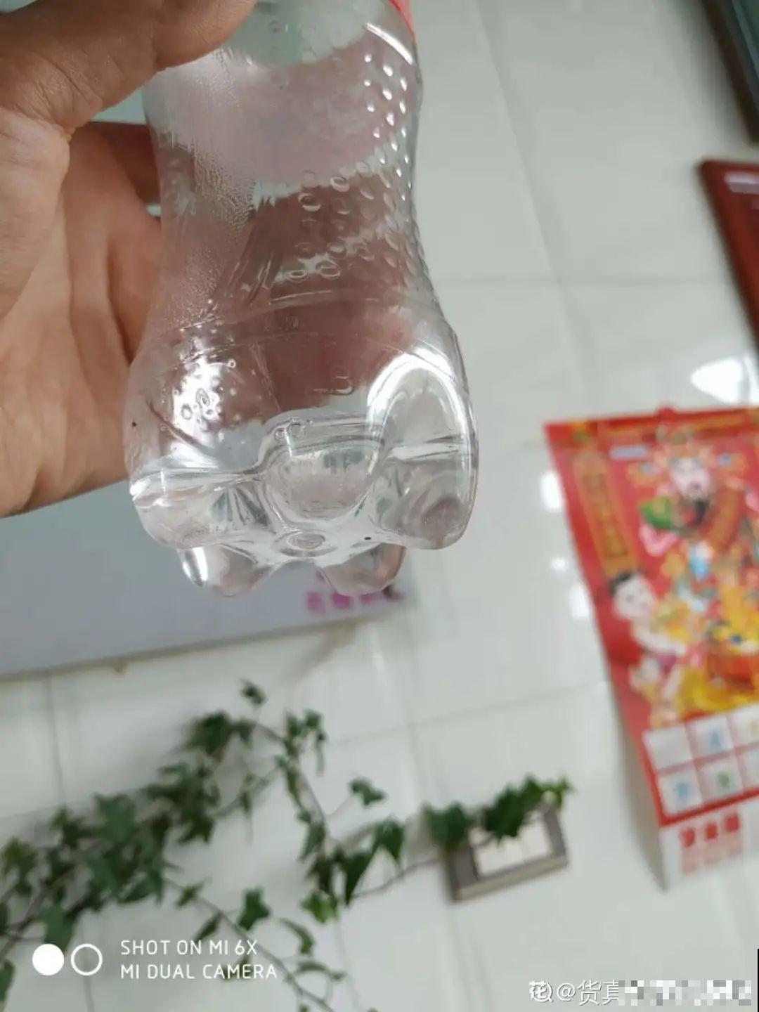 9月施肥季,这花赶紧贴秋膘,才能爆开花! 9月施肥季,这花赶紧贴秋膘,才能爆开花!