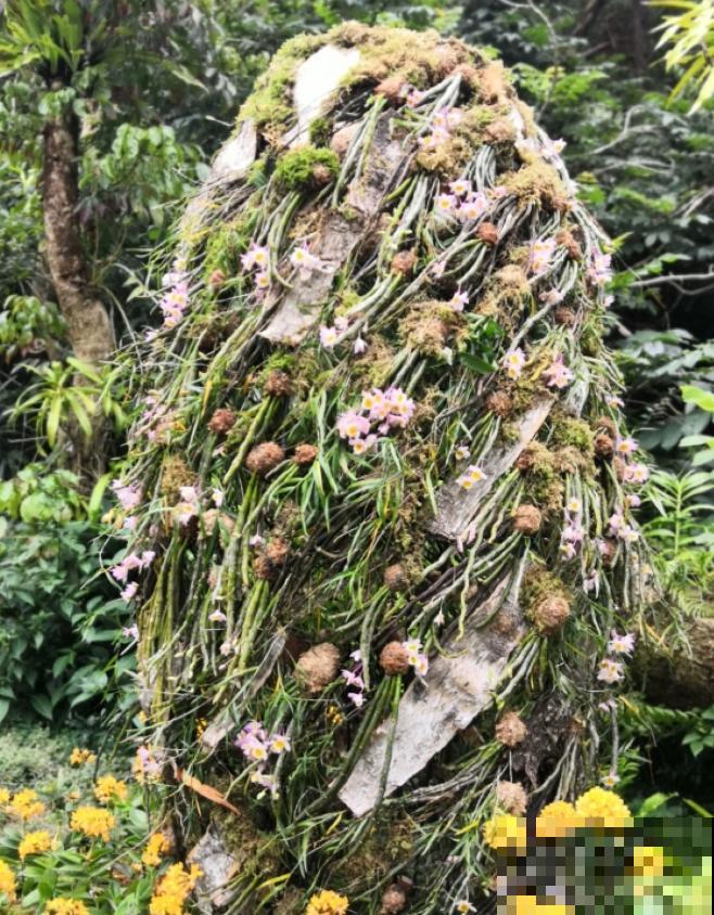 还敢说你的花园有创意?看看这些脑洞设计,一般人做不来! 还敢说你的花园有创意?看看这些脑洞设计,一般人做不来!