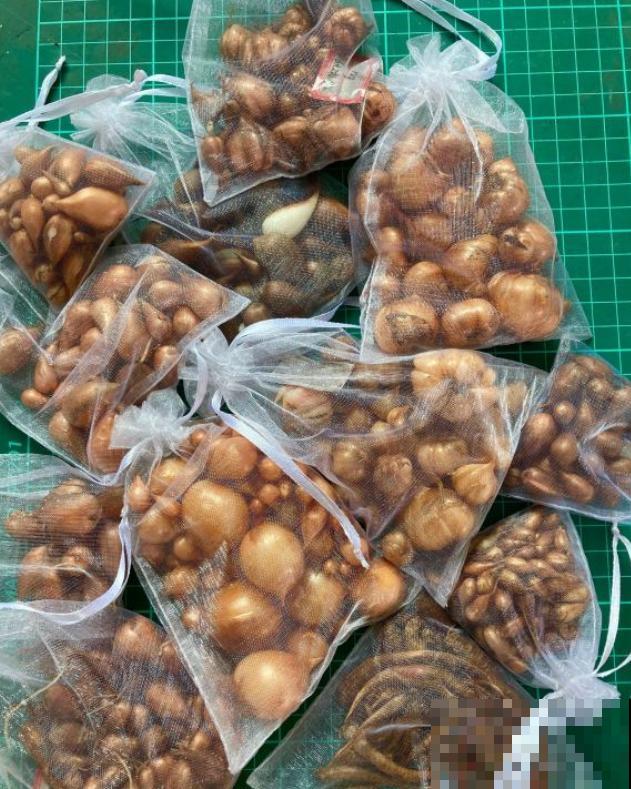 酢浆草太能生崽,一年生一堆,多得都想扔! 酢浆草太能生崽,一年生一堆,多得都想扔!