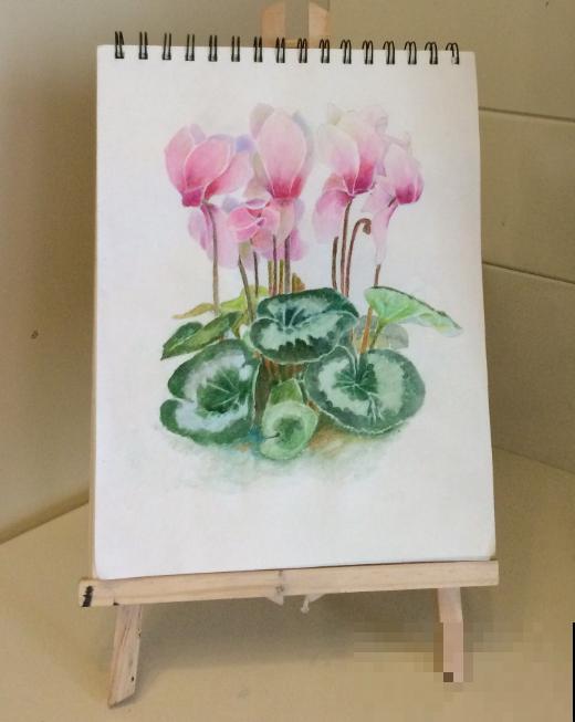 她家的花一开，就赶紧画成水彩画，比真花还美！