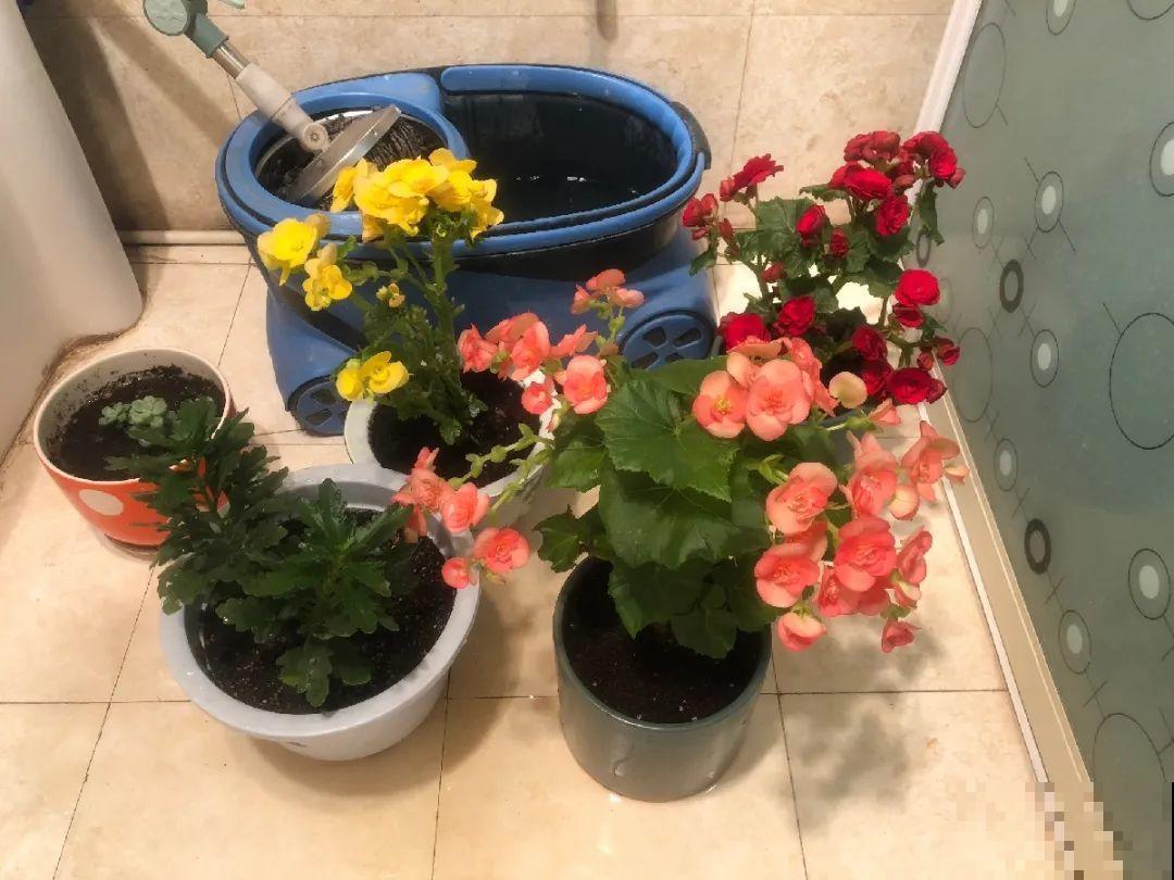 出门前，DIY个浇水神器，花就不会渴死了！