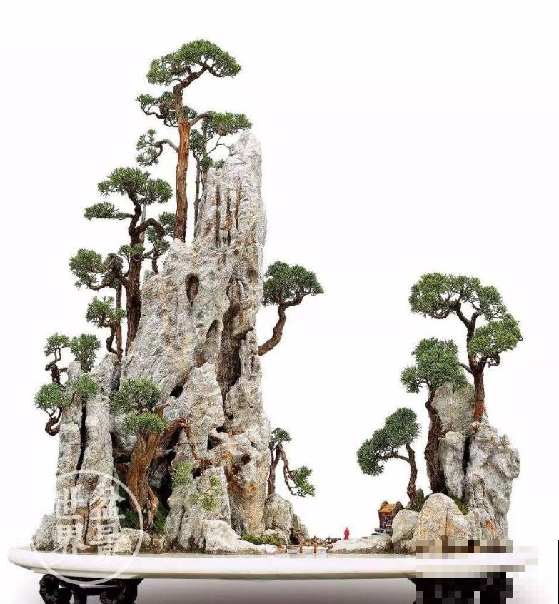 惊艳的6大盆景造型,中国植物艺术的巅峰,收藏起来! 惊艳的6大盆景造型,中国植物艺术的巅峰,收藏起来!