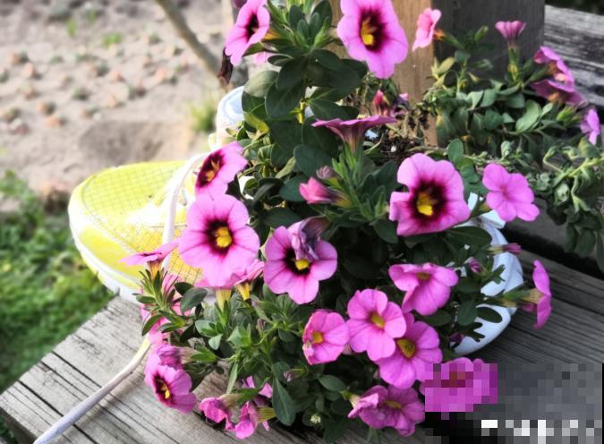 还敢说你的花园有创意?看看这些脑洞设计,一般人做不来! 还敢说你的花园有创意?看看这些脑洞设计,一般人做不来!