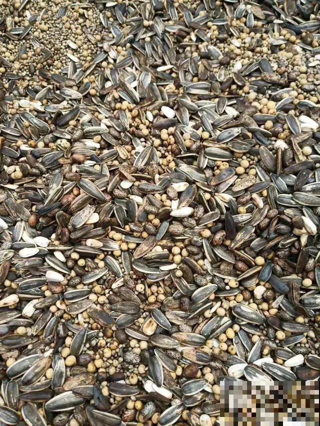 养根的3个小方法,照着一步步做,根能撑爆盆! 养根的3个小方法,照着一步步做,根能撑爆盆!