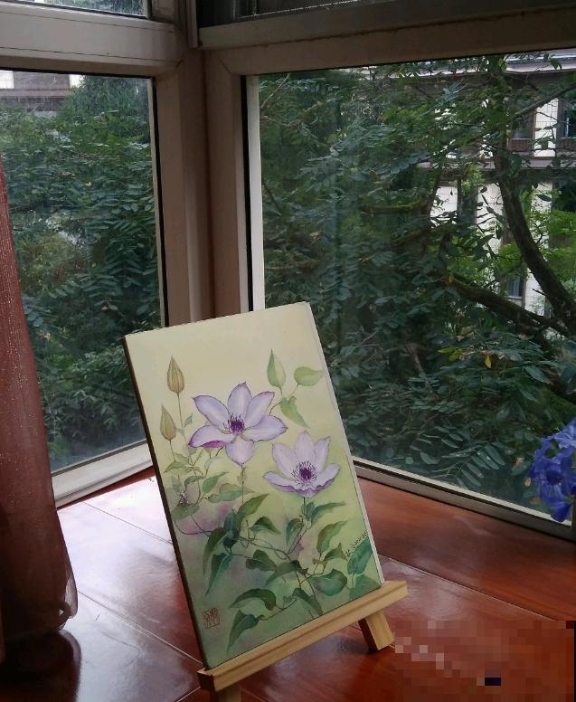她家的花一开，就赶紧画成水彩画，比真花还美！