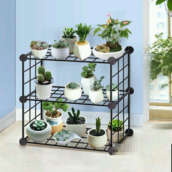 浇水时注意一个细节,花喝了长得超快,大白根又密又壮! 浇水时注意一个细节,花喝了长得超快,大白根又密又壮!