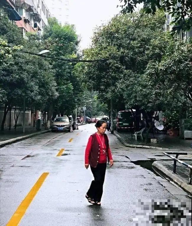 407岁古树，熊孩子玩火烧坏，只剩树皮还能活？