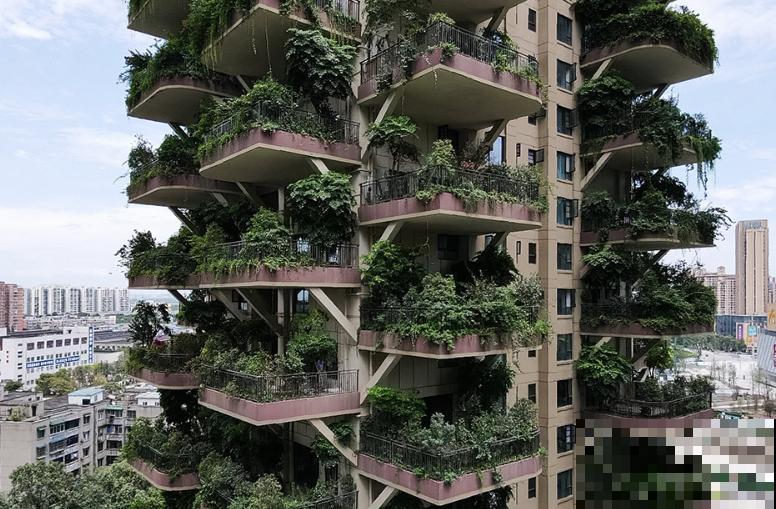 被绿植包围的森林小区,家家阳台满是植物,这样的小区你想住吗? 被绿植包围的森林小区,家家阳台满是植物,这样的小区你想住吗?