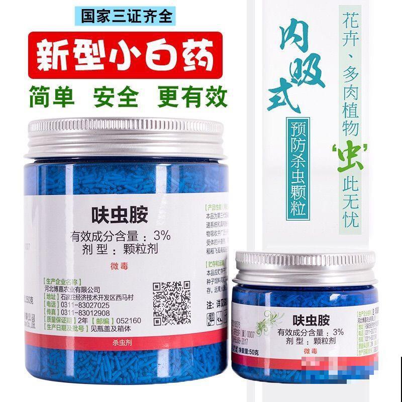 遇到玄灰蝶要小心,赶快防护,泛滥之后让你哭! 遇到玄灰蝶要小心,赶快防护,泛滥之后让你哭!