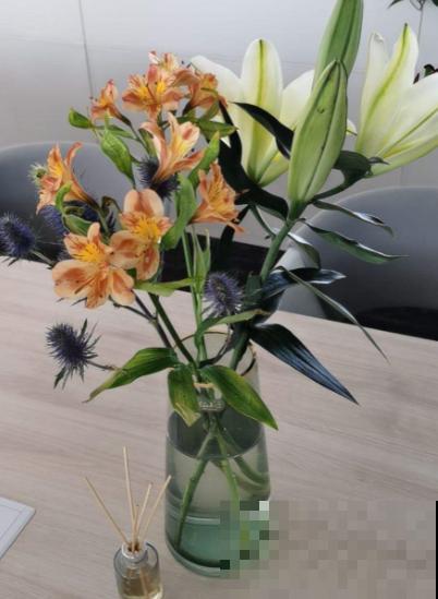 花友新宠六出花,鲜艳俏丽,开满盆特喜庆! 花友新宠六出花,鲜艳俏丽,开满盆特喜庆!