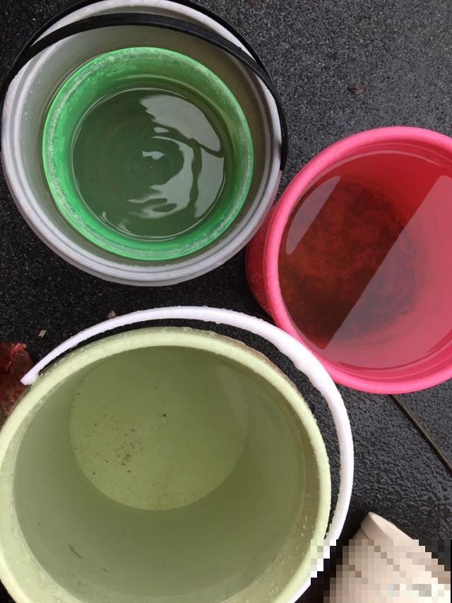 4种养花夺命水，秋天不要浇，一浇花就死！