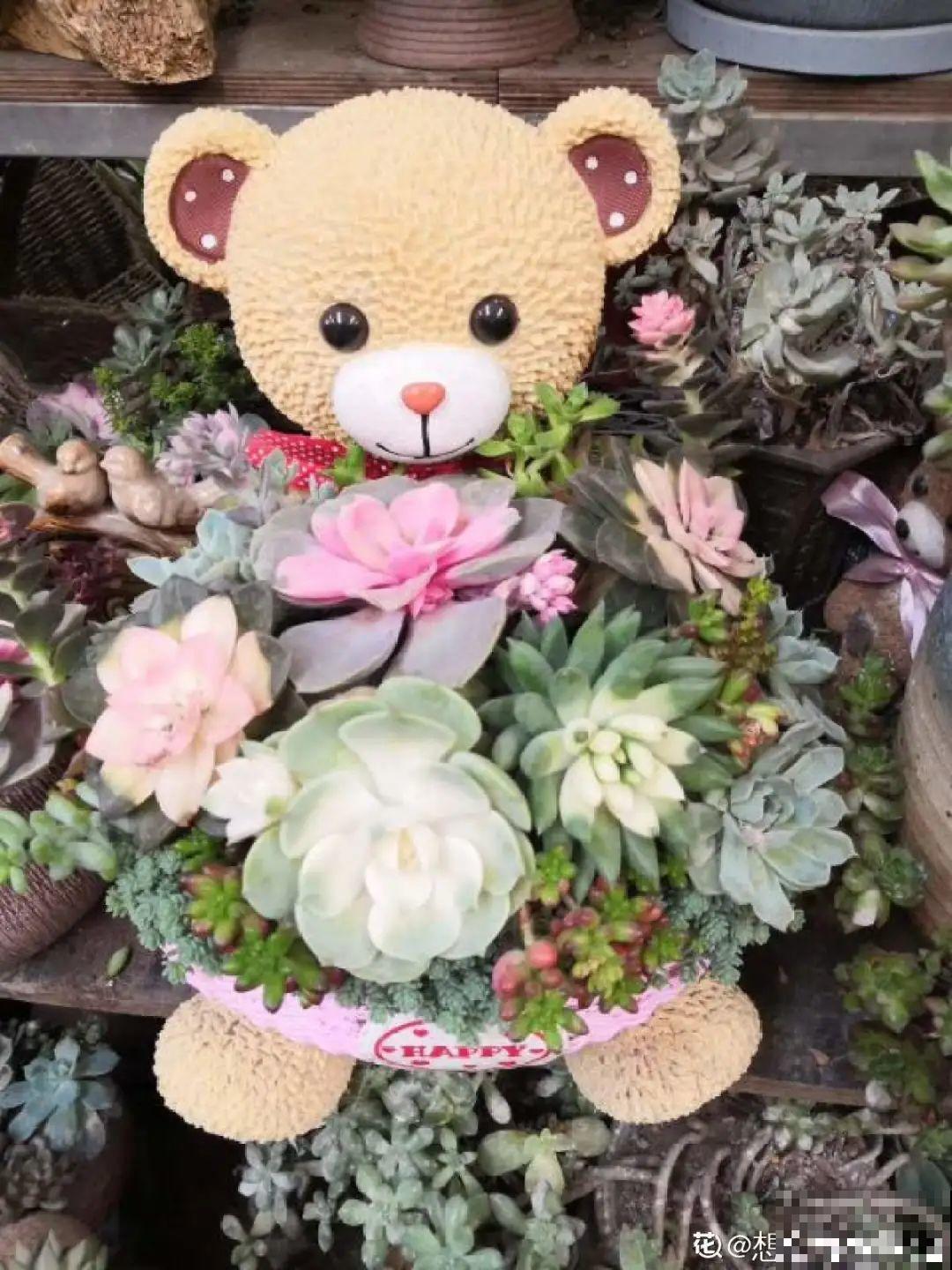 花盆里插朵花,装成天堂鸟,谁买谁上当 花盆里插朵花,装成天堂鸟,谁买谁上当