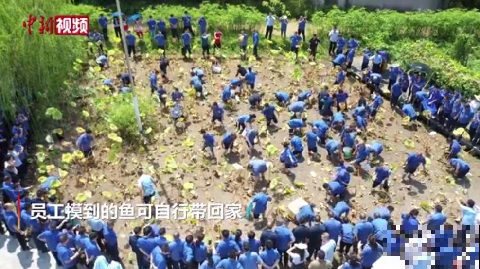 重庆一家企业,楼顶用来种菜养花,佩服! 重庆一家企业,楼顶用来种菜养花,佩服!