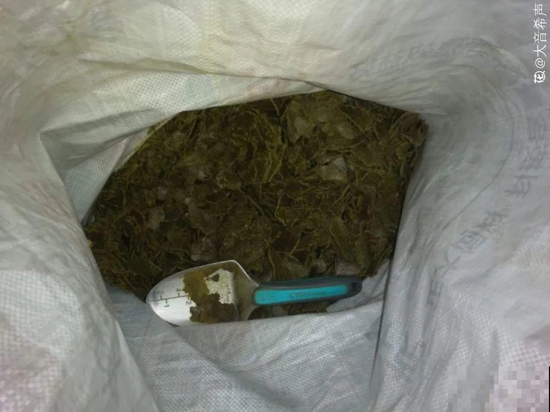 土里埋点“小料”，今年不用换盆，照样开花爆盆！