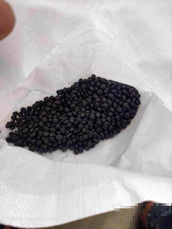 花盆里插朵花,装成天堂鸟,谁买谁上当 花盆里插朵花,装成天堂鸟,谁买谁上当