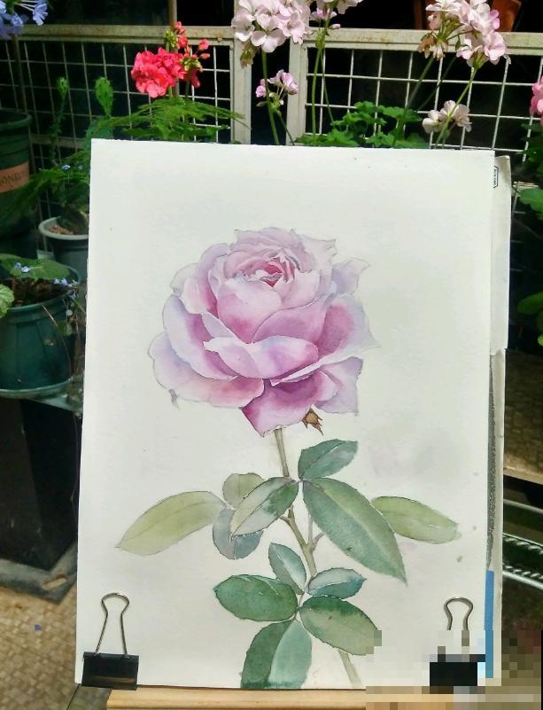 她家的花一开，就赶紧画成水彩画，比真花还美！
