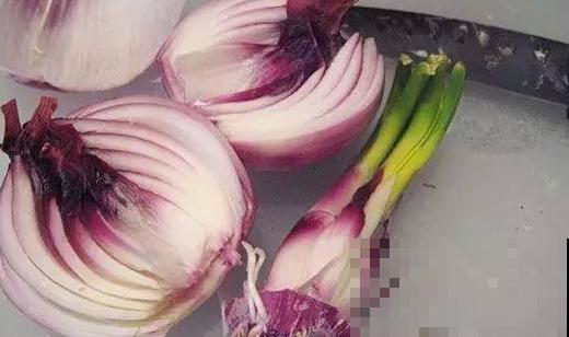 洋葱屁股不要扔，埋在土里浇点水，长成新洋葱！