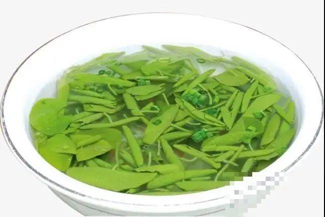 山上的雪莲,说摘就摘? 山上的雪莲,说摘就摘?