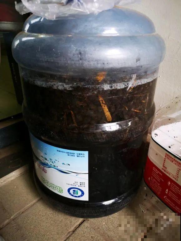 4种养花夺命水，秋天不要浇，一浇花就死！