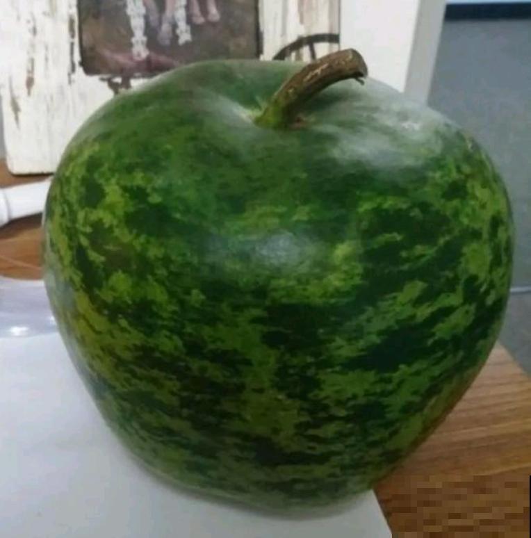 16种奇花异草,随便挑一个,你都没见过! 16种奇花异草,随便挑一个,你都没见过!