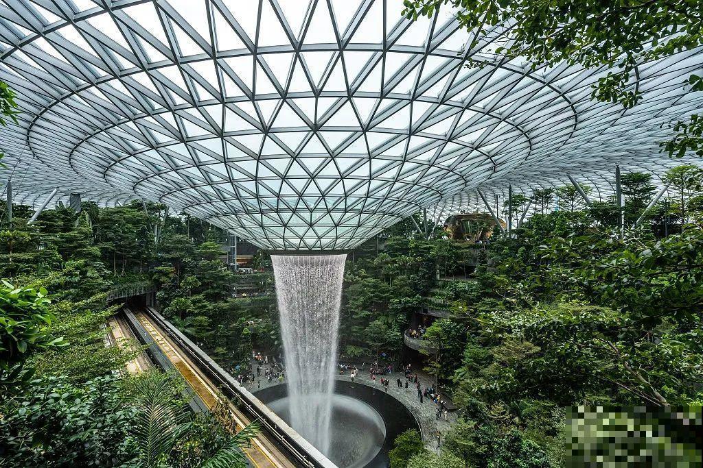 小区楼房被绿植全包围,像个森林一样,你想住进去吗? 小区楼房被绿植全包围,像个森林一样,你想住进去吗?