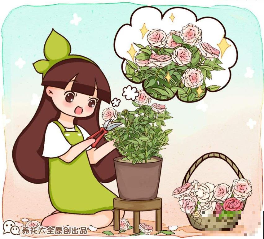 家里有这4种花，现在千万别修剪，剪了就不开花了！